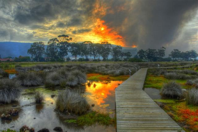 柠檬美文@这些图太美，太惊艳了！