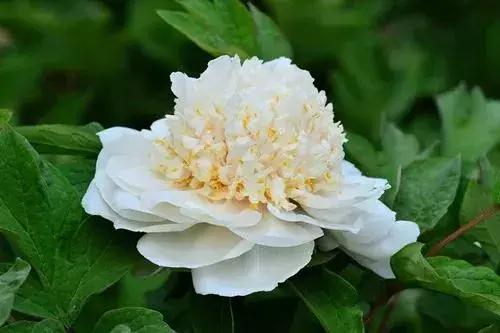 「糖果儿」真正的夫妻，不是谁征服谁，而是谁迁就谁