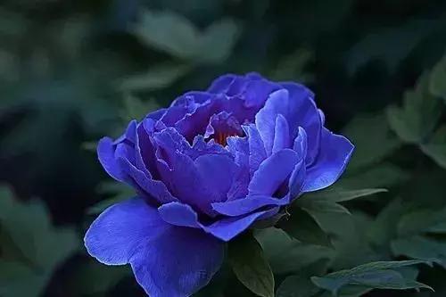 「糖果儿」真正的夫妻，不是谁征服谁，而是谁迁就谁