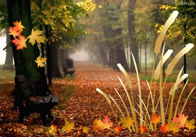 #柠檬美文#老朋友，秋已深，请添衣！