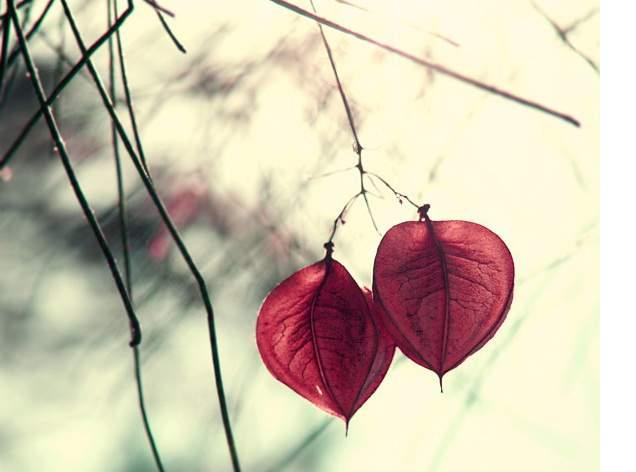 [一点心理学]情绪成熟的人身上具有的4个特征