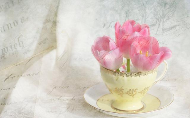 [一点心理学]情绪成熟的人身上具有的4个特征