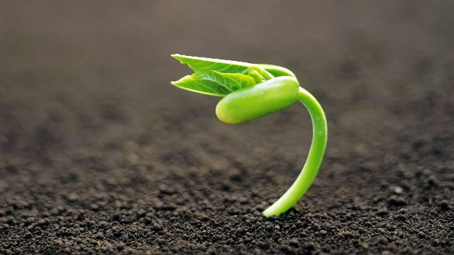 谈情感的鑫雪：适合发朋友圈的早安短句，简短洋气，看懂活得更明白