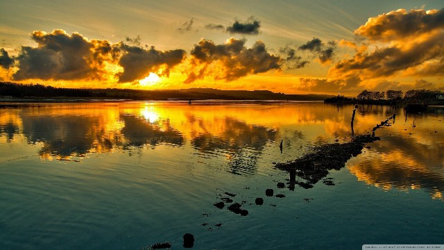 谈情感的鑫雪：适合发朋友圈的早安短句，简短洋气，看懂活得更明白