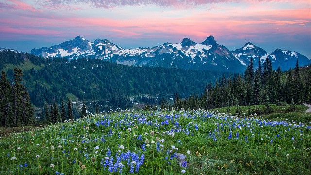 讲娱乐的本敏：写给傻傻的自己的说说，简短洋气，哪一句戳中你的心坎了