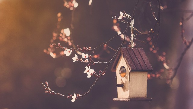 讲娱乐的本敏：写给傻傻的自己的说说，简短洋气，哪一句戳中你的心坎了