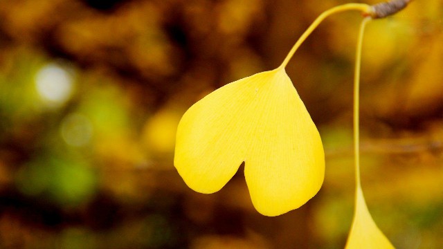 讲娱乐的本敏：写给傻傻的自己的说说，简短洋气，哪一句戳中你的心坎了