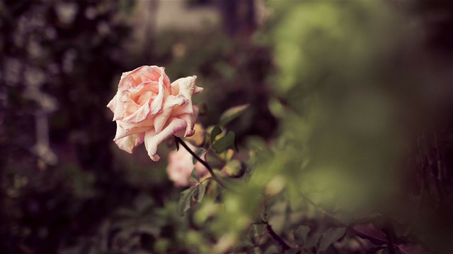 讲娱乐的本敏：写给傻傻的自己的说说，简短洋气，哪一句戳中你的心坎了