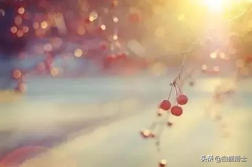 「佳作有约」莫言：世界很现实