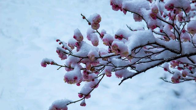 美文鉴赏@“人穷不省三钱”，这“三钱”绝不能去省，至理名言不能不知啊