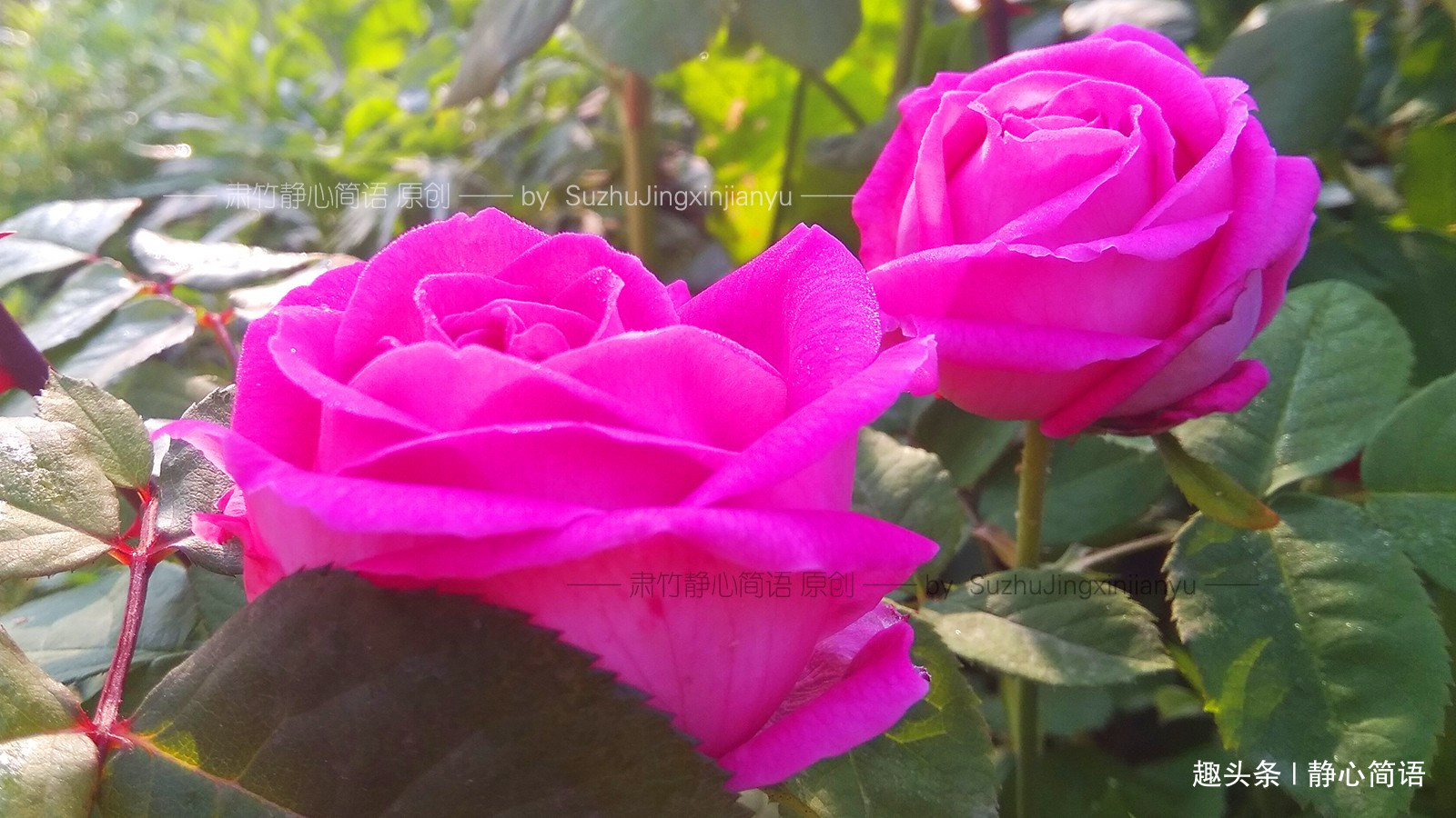 [静心简语]你为什么对我那么好？我对你好了吗？