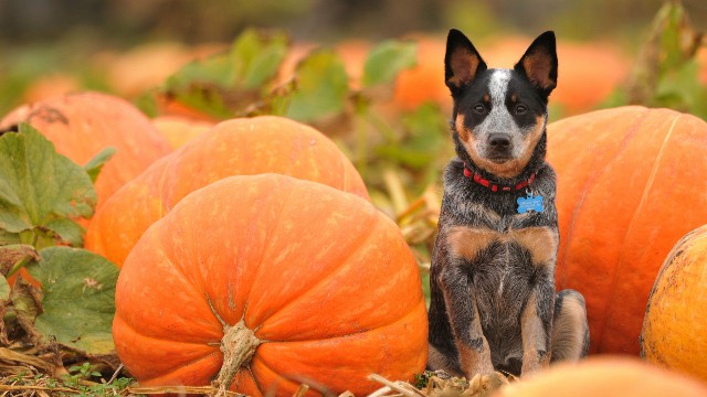 「讲八卦的自轩」适合晚上发对生活很丧的句子，句句写到心坎上，让你恍然大悟圈的