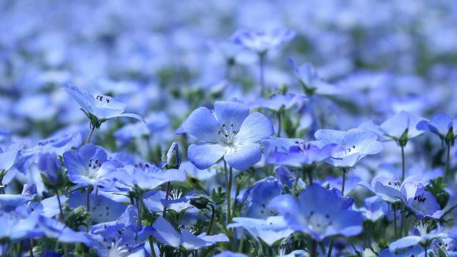 「讲八卦的自轩」适合晚上发对生活很丧的句子，句句写到心坎上，让你恍然大悟圈的