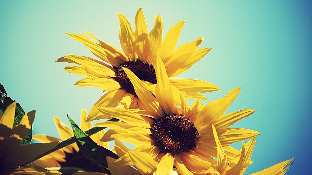 「讲八卦的自轩」适合晚上发对生活很丧的句子，句句写到心坎上，让你恍然大悟圈的