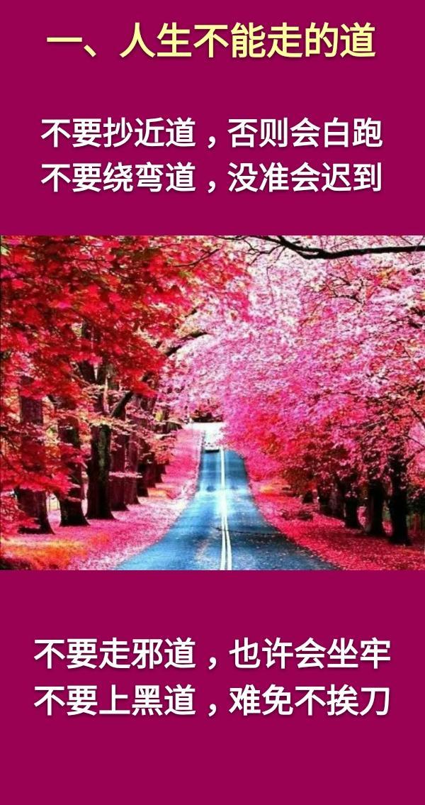 老蒋书房@人生：一不走，二不要，三不完，四不可，五不比，六不忘，七不问