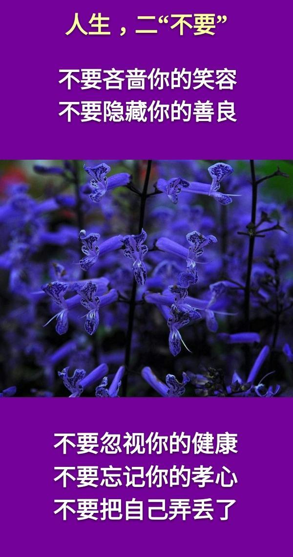 老蒋书房@人生：一不走，二不要，三不完，四不可，五不比，六不忘，七不问