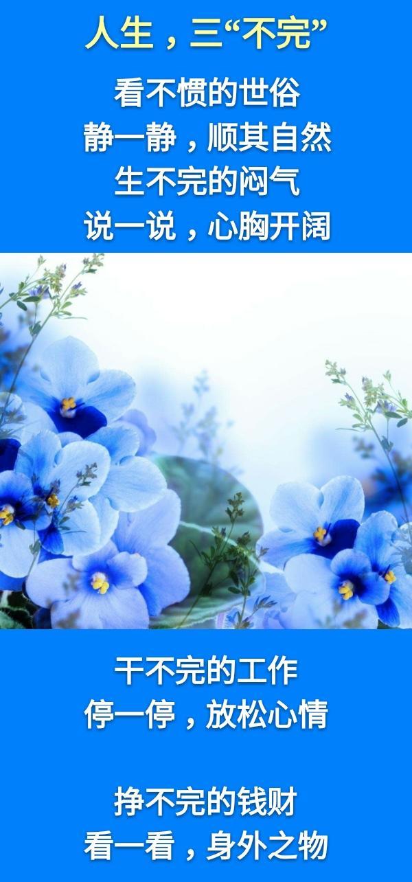 老蒋书房@人生：一不走，二不要，三不完，四不可，五不比，六不忘，七不问