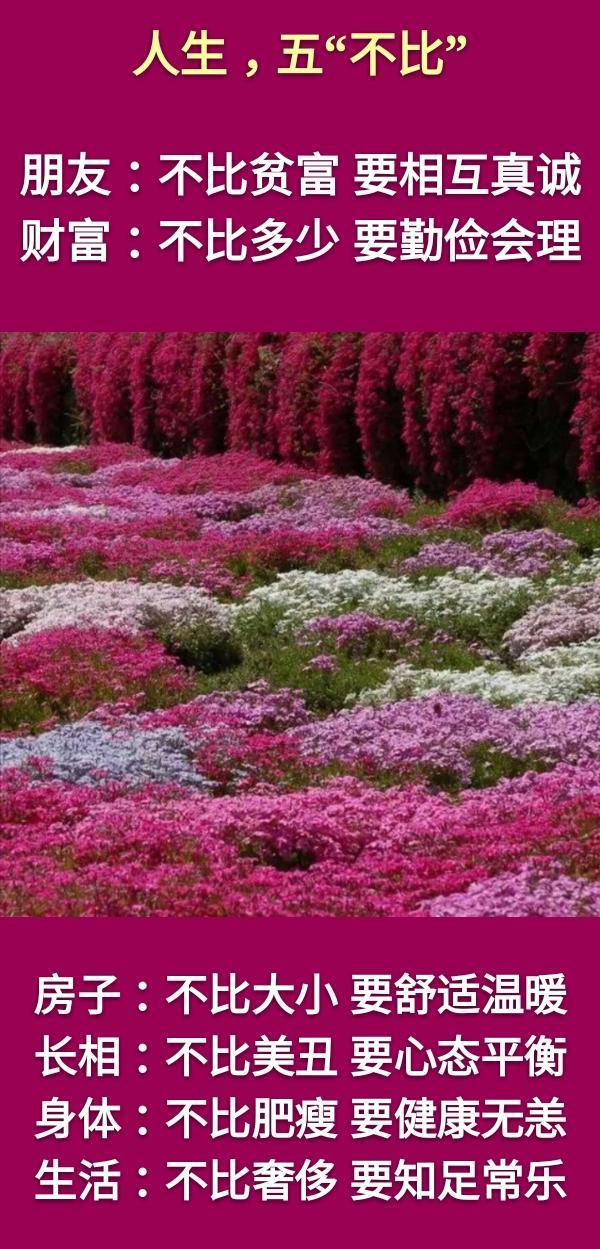 老蒋书房@人生：一不走，二不要，三不完，四不可，五不比，六不忘，七不问