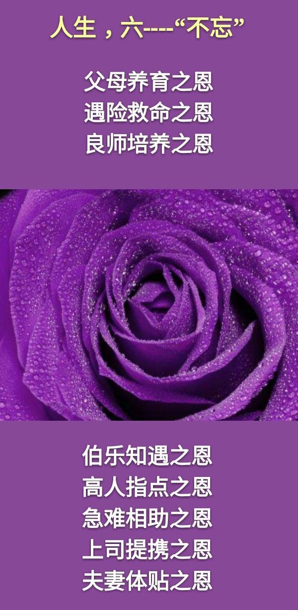 老蒋书房@人生：一不走，二不要，三不完，四不可，五不比，六不忘，七不问