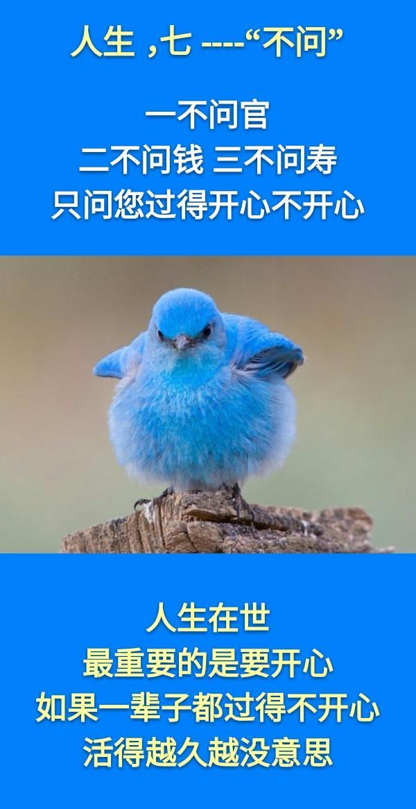 老蒋书房@人生：一不走，二不要，三不完，四不可，五不比，六不忘，七不问