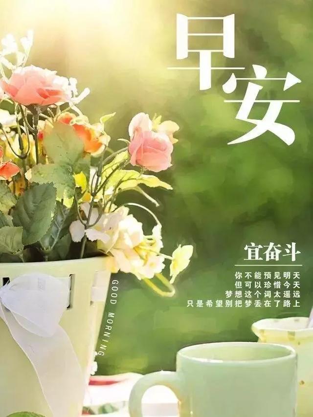 美文鉴赏@努力，不是为了改变世界，而是不被世界改变，早安