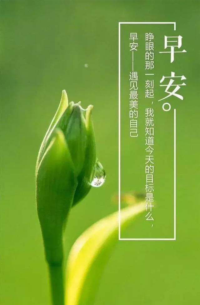 美文鉴赏@努力，不是为了改变世界，而是不被世界改变，早安