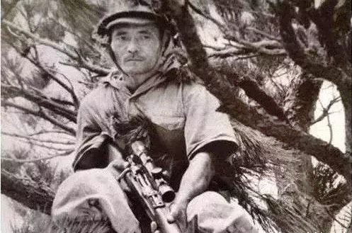 为何二战日军很少有王牌狙击手? 美军: 搞不懂他们为啥上树!