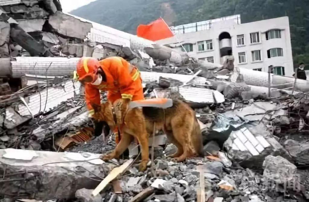 汶川地震中救出15人的“战友”走了，网友纷纷哀悼