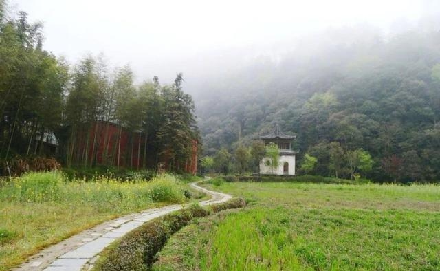 金魁星TB：余生，活出最好的自己