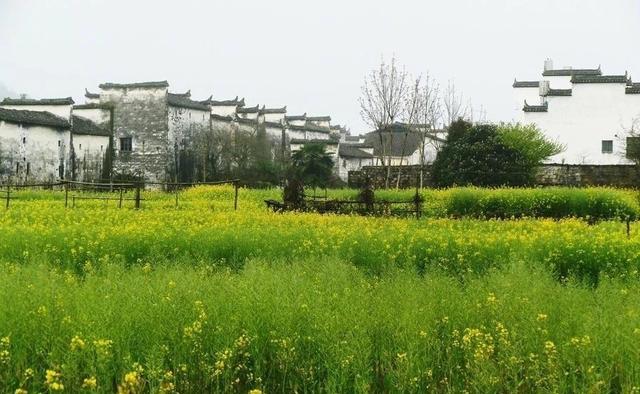 金魁星TB：余生，活出最好的自己