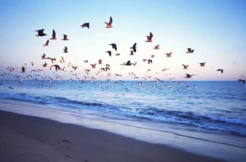 SEDATE微生活■你有深度，世界给你的是高度