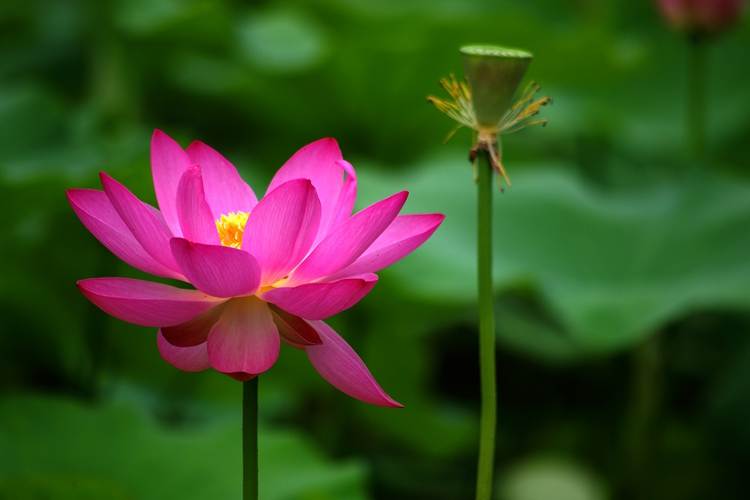 土豆躺沙发@做人有良知，前途有帮手。