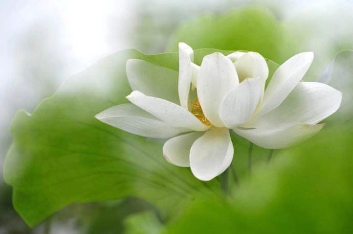 土豆躺沙发@做人有良知，前途有帮手。