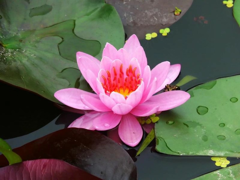 土豆躺沙发@做人有良知，前途有帮手。