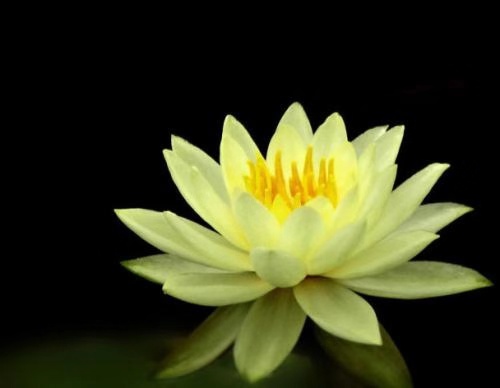 土豆躺沙发@做人有良知，前途有帮手。