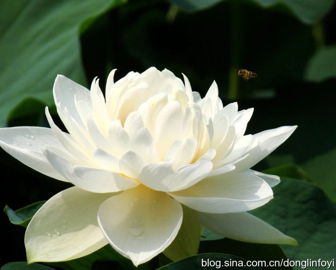 土豆躺沙发@做人有良知，前途有帮手。