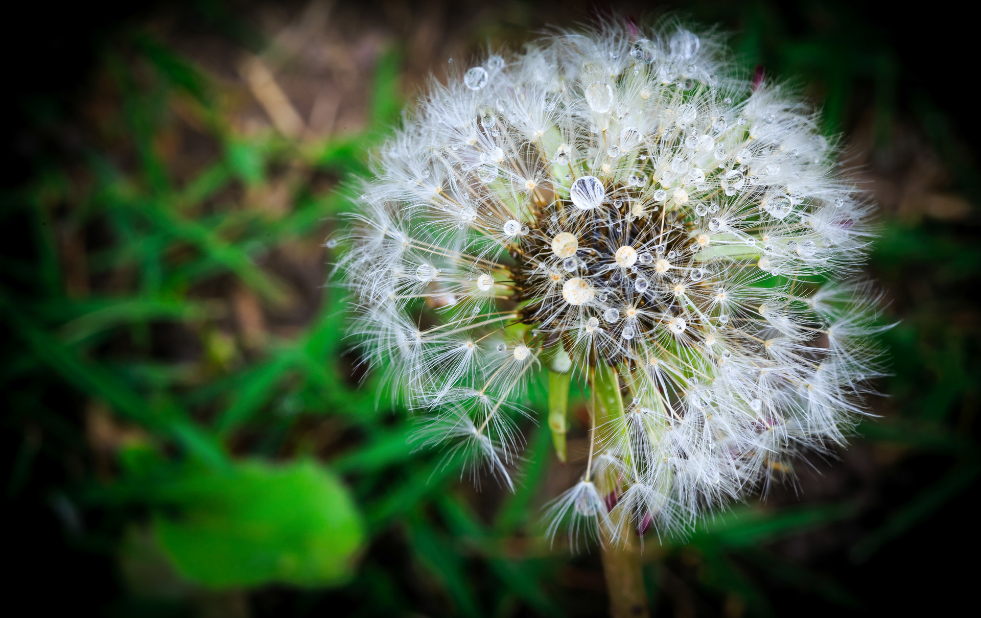 #说爱#人到中年，要懂得沉默寡言，有三个“不可说”