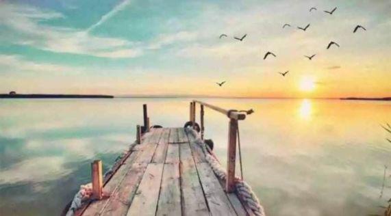 「每日一禅TB」在轮回的渡口，你我皆是过客