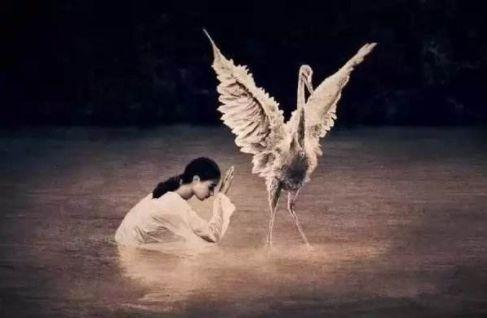 「每日一禅TB」在轮回的渡口，你我皆是过客