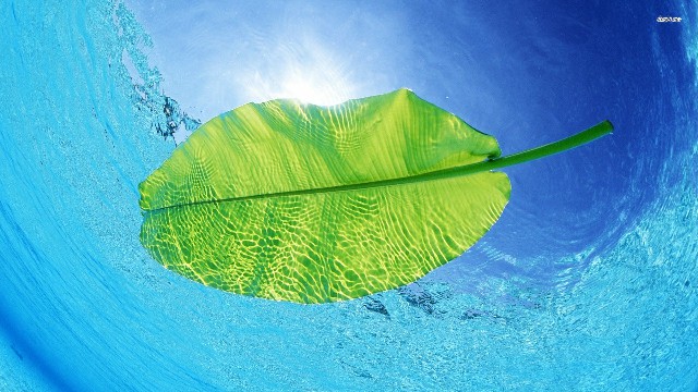 【水瑶涟彩寻】心里苦没人懂的句子，句句充满智慧，送给心累迷茫的你