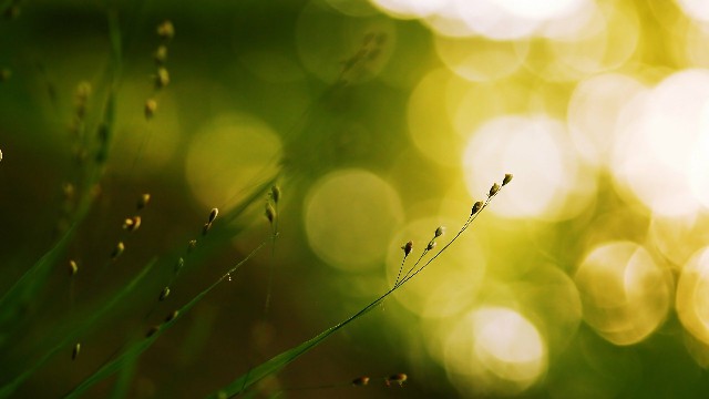 水瑶涟彩寻@发自内心感慨的说说，句句有意境，让人一看就喜欢