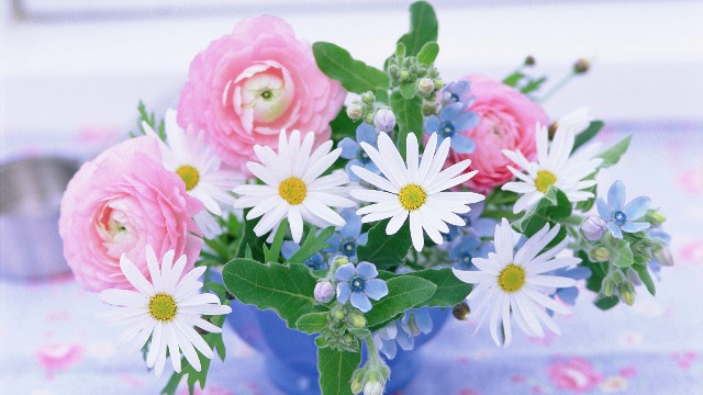 水瑶涟彩寻@发自内心感慨的说说，句句有意境，让人一看就喜欢