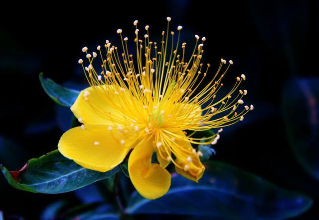 「凌小麦」奔五的70后：请给自己留好这三条退路，避免晚景凄凉