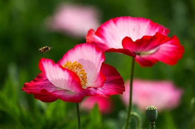 「凌小麦」奔五的70后：请给自己留好这三条退路，避免晚景凄凉