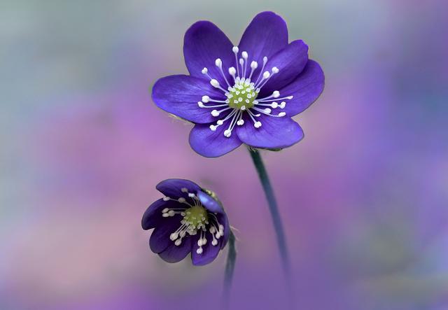 「凌小麦」奔五的70后：请给自己留好这三条退路，避免晚景凄凉