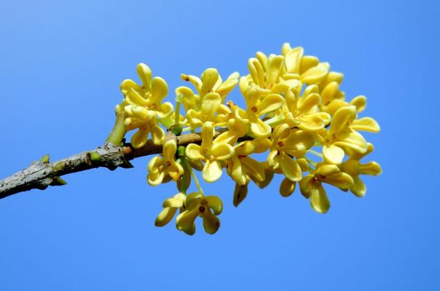 「女人的励志说」心净才能心静，心静才能清明