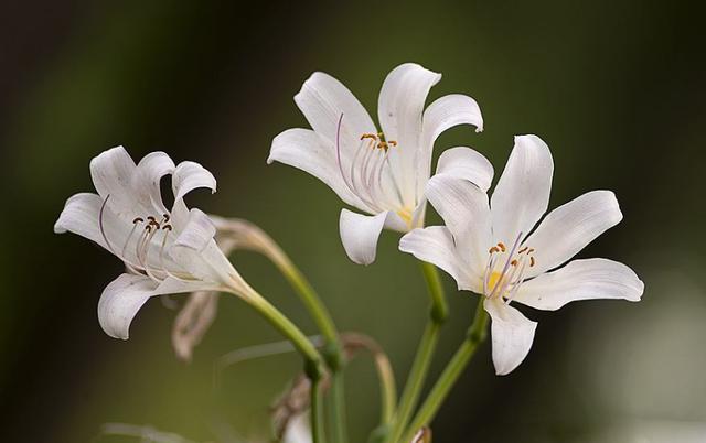 励志风雨人生：一切清净，源于心静