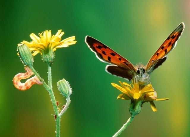 励志风雨人生：一切清净，源于心静