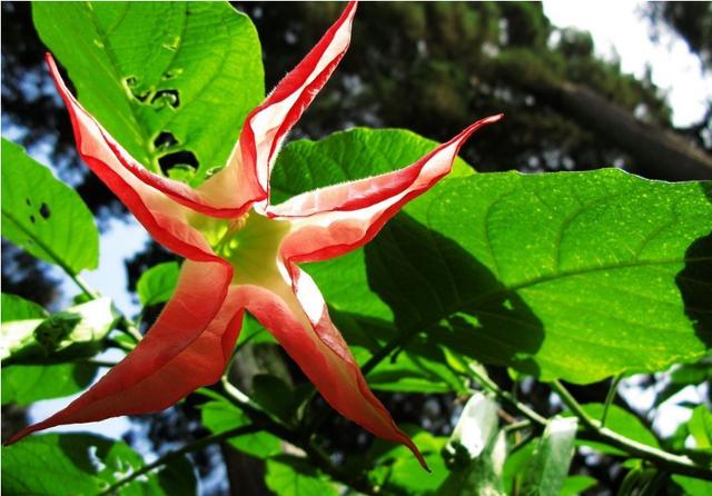 励志风雨人生：一切清净，源于心静