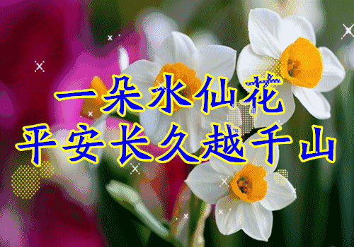 [柠檬美文]送你一曲《有钱花》！祝你天天有钱花